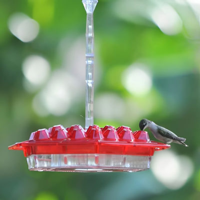 Birdyl Hummingbird Feeder reviews