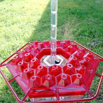 Birdyl Hummingbird Feeder reviews